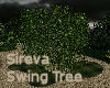 Sireva Swing Tree