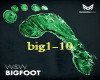 w&w_-_bigfoot (big1-10