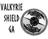 Valkyrie Shield