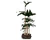 [JD]Bamboo Plant Green