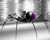 purple spider avi M