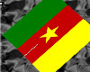 ~Cameroon Hand Held Flag