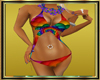 Hippie Rainbow Bikini