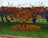 (F)Autumn Tree