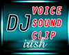 [IR] DJ Voice SClip
