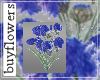 *F* cornflower blue