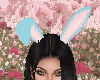 Easter Ears Blue