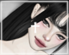 ♰ Noctis
