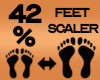 Feet Scaler 42%
