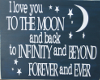  love you to the moon
