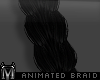 ℳ | My Animated braid