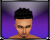 X-Sexy Male Head S2
