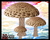 ✘Mushrooms