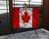 *T*Canadian Flag animate