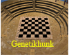 Chess n Checker Board