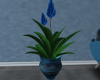 Livia Plant