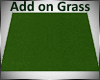 Fresh Green lawn Grass