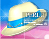 [P]Raka Hat