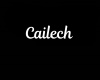 Cailech Necklace/F