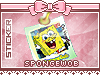 Sponge Polaroid