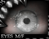 ![DS] iRiS 77 |Eyes M/F