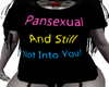 Pansexual Pride V4