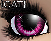 {CAT}Fragile-Pink Eyes