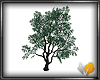 (ED1)Summer-tree-2