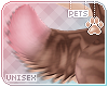 [Pets] Dexi | tail v4