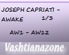 V-J.CAPRIATI-AWAKE 1/3