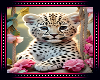 🐆 Leopard Cub BG