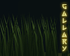 Gallery - Grass