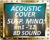 Acoustic Cover - 8D