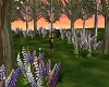 *Lupine Forest*