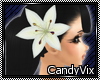 [CV] Single White Lily-R