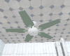 ∆ fan
