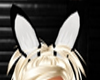  bunny ears