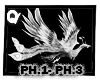 Q| Phoenix-W