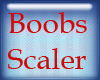 *R BooBs Scaler 40%