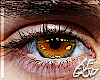 Ⱥ" Golden Eyes