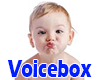 vb. Kids VoiceBox