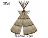 Native Tipi