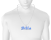 DR Necklace M