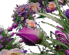 18 Purple Roses 2