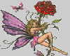 Loving fairy rose
