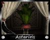 [Ast] Arabian Plant