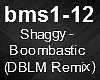 Shaggy Boombastic rmx