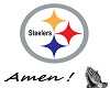 Steelers  Jersey (M)