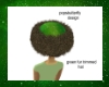 green fur trimmed hat