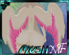 Req: Smuk Coral Wings